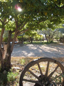 Synergia Ranch