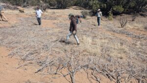 Image of workshop participants brushmattressing
